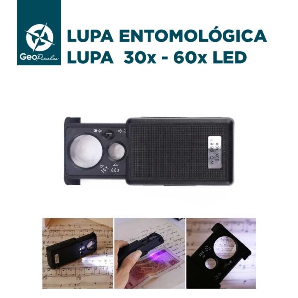 Lupa Entomológica 30x - 60x LED - Imagen 2
