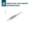 Pinza fina estriada - Entomología - Imagen 2